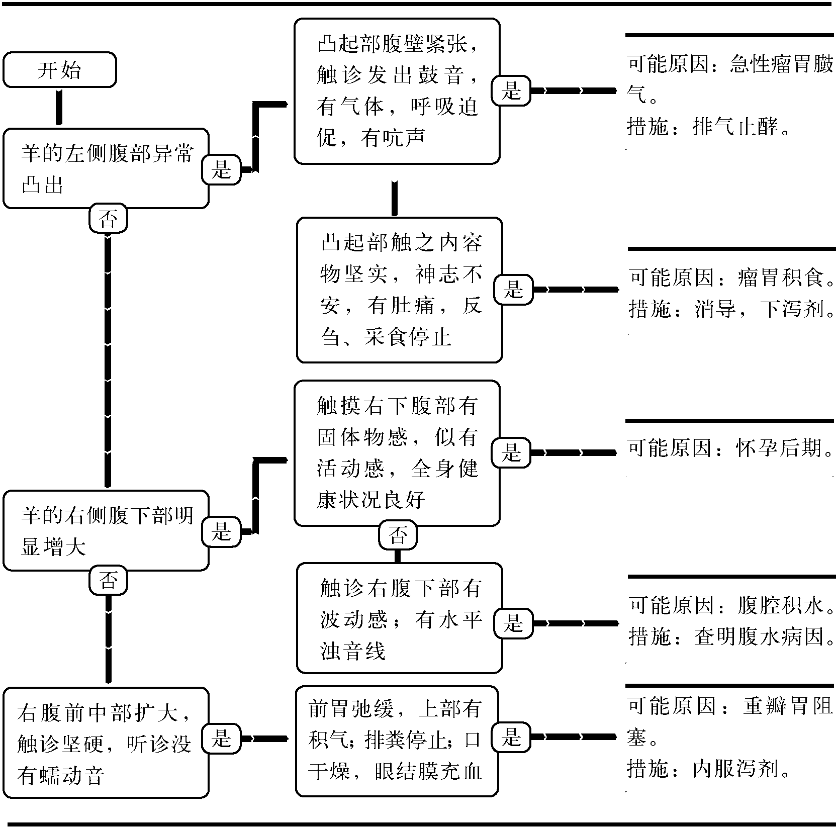 4.腹圍變化